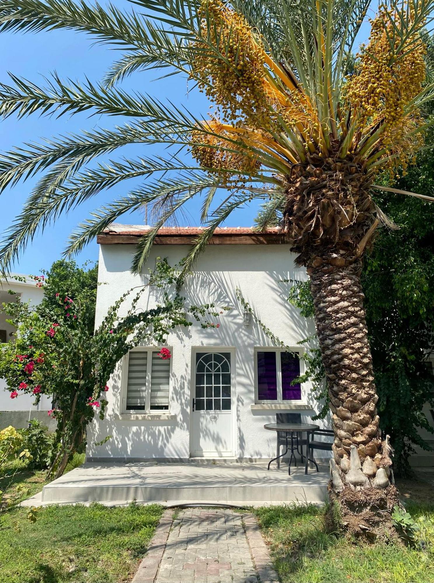 The Prince Inn Hotel & Villas Agios Georgios  Екстер'єр фото