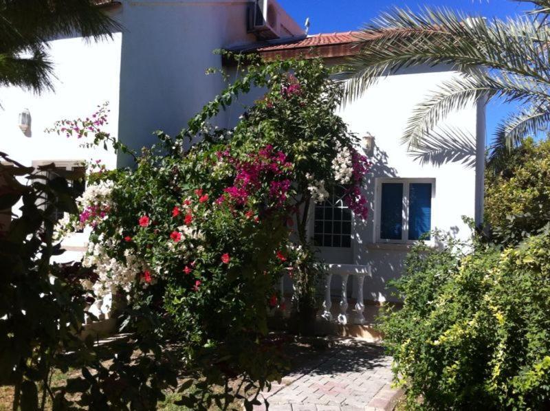 The Prince Inn Hotel & Villas Agios Georgios  Екстер'єр фото