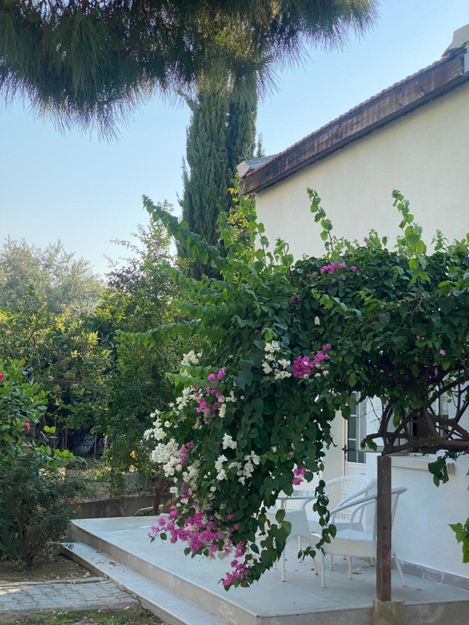 The Prince Inn Hotel & Villas Agios Georgios  Екстер'єр фото